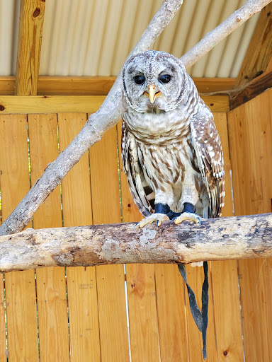 Animal Shelter «Animal Adventures Family Zoo & Rescue Center», reviews and photos, 336 Sugar Rd, Bolton, MA 01740, USA