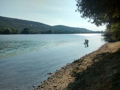 Résidence Belle Isle Gardien à Vernon