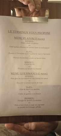 Les plus récentes photos du Restaurant français Restaurant Terminus à Neuves-Maisons - n°4