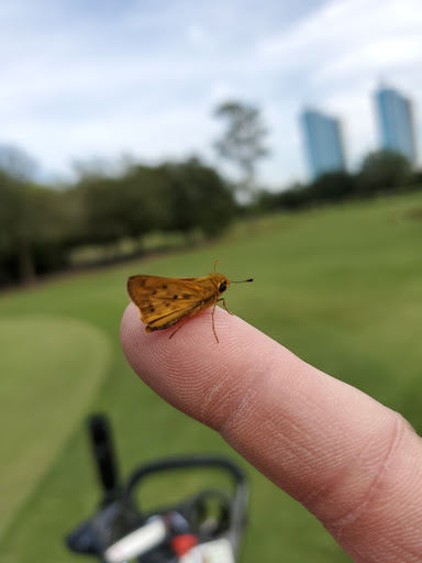 Golf Course «Hermann Park Golf Course», reviews and photos, 2155 MacGregor Way, Houston, TX 77030, USA