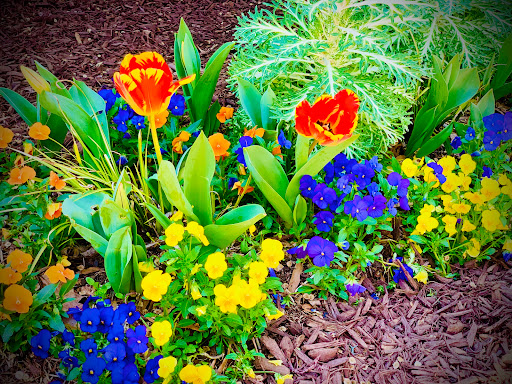 Park «Pullen Park», reviews and photos, 408 Ashe Ave, Raleigh, NC 27606, USA