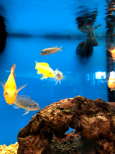 Pet Supply Store «Petco Animal Supplies», reviews and photos, 1060 U.S. 9, Parlin, NJ 08859, USA