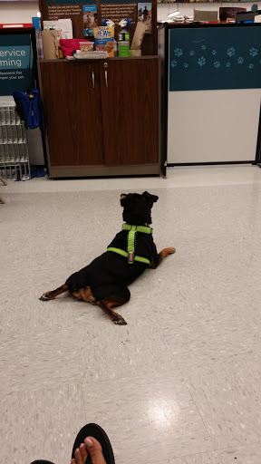 Pet Supply Store «Petco Animal Supplies», reviews and photos, 12551 Jefferson Ave #119, Newport News, VA 23602, USA