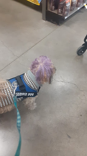 Pet Supply Store «Unleashed by Petco», reviews and photos, 7288 Sunset Blvd #1d, Los Angeles, CA 90046, USA