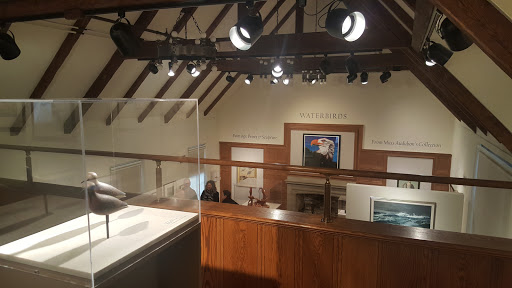 Non-Profit Organization «Museum of American Bird Art at Mass Audubon», reviews and photos, 963 Washington St, Canton, MA 02021, USA