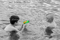 Dannos Digital - Photo 1 - Car repair in , Denton