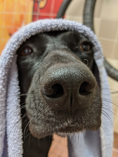 Pet Supply Store «Pet Food Express», reviews and photos, 2531 Fair Oaks Blvd, Sacramento, CA 95825, USA