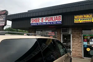 Sher-E-Punjab image