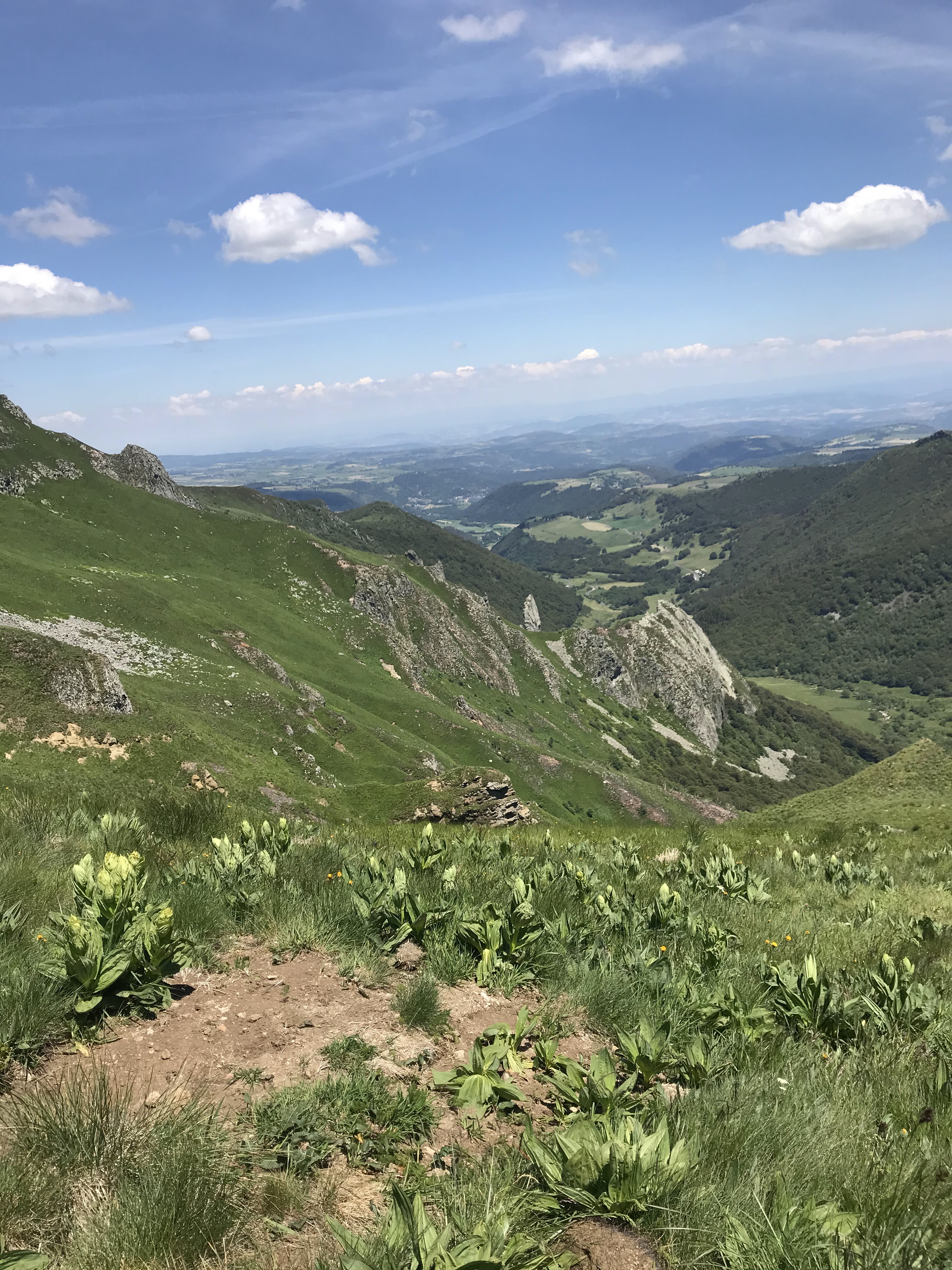Photo n° 27 de l'avis de axel.l fait le 24/06/2020 à 15:56