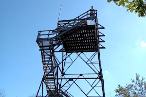 Bickle Knob Observation Tower image