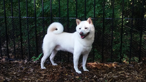 Pet Supply Store «The Hungry Puppy», reviews and photos, 1288 NJ-33, Farmingdale, NJ 07727, USA