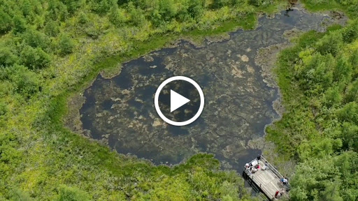 Nature Preserve «Volo Bog», reviews and photos, 28478 W Brandenburg Rd, Ingleside, IL 60041, USA