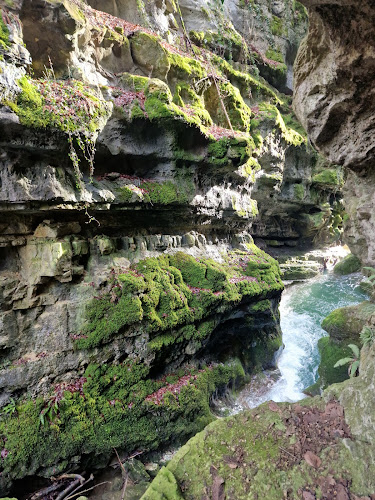 Rezensionen über Taubenlochschlucht in Biel - Andere