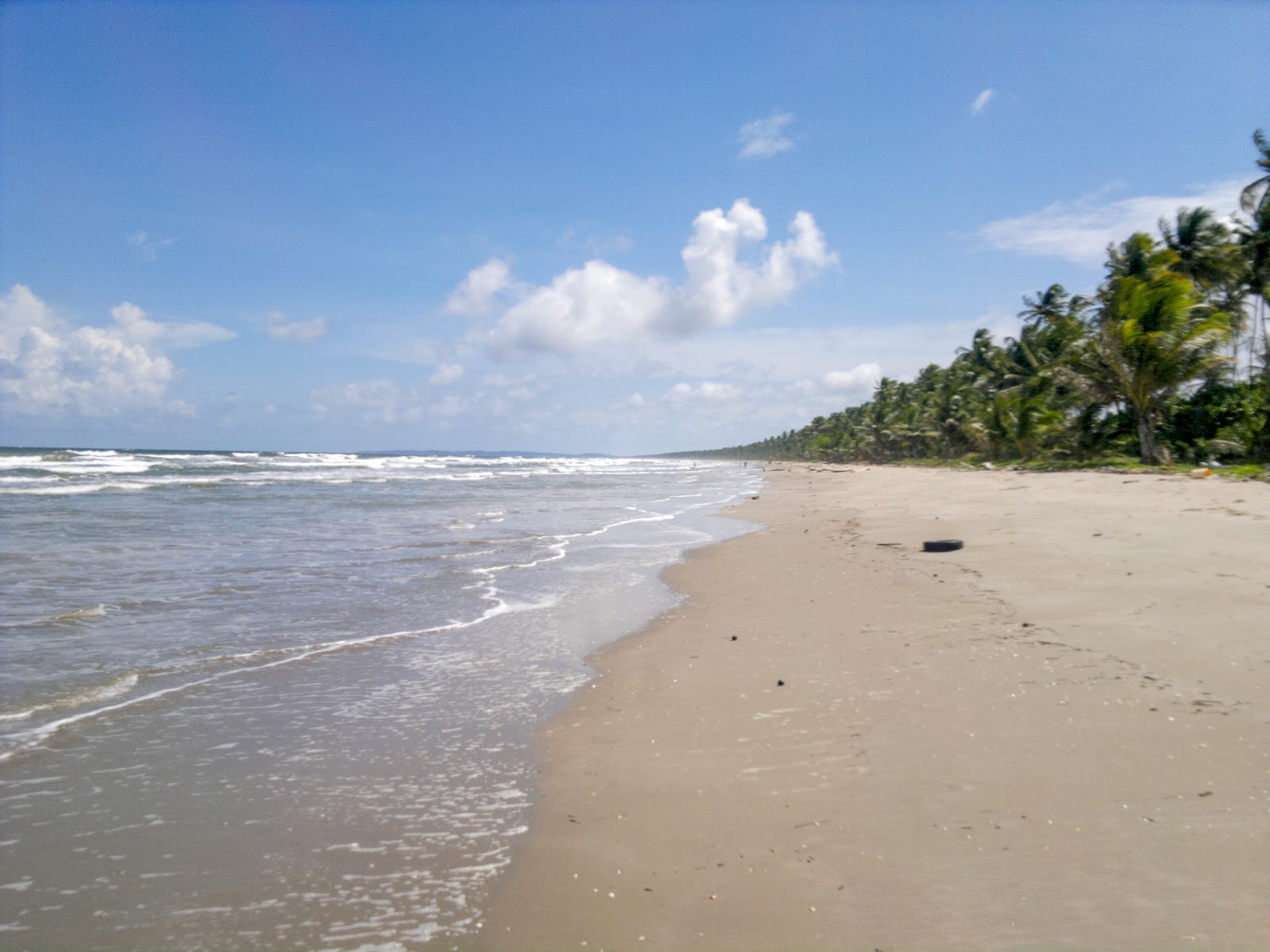 Fotografija Manzanilla beach z dolga ravna obala