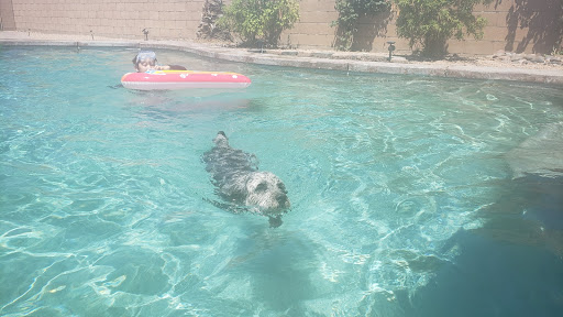 Pet Supply Store «Unleashed by Petco», reviews and photos, 432 Westlake Center, Daly City, CA 94015, USA