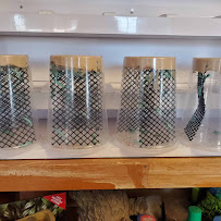 Reptile Food & More - Photo 3 - Car repair in Falcon, CO, Colorado Springs