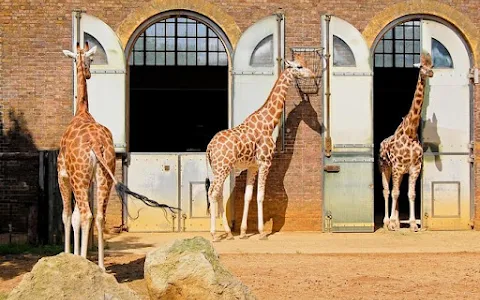 London Zoo image