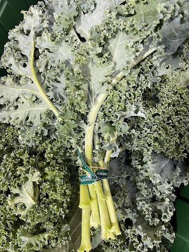 Health Food Store «Harvest Health Foods», reviews and photos, 4150 32nd Ave, Hudsonville, MI 49426, USA