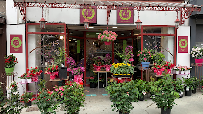 Maison Gomez - Fleuriste "Aux Capucines" à Fontaines-sur-Saône