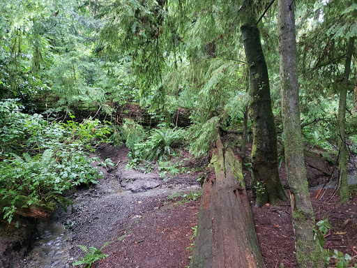 Park «Schmitz Preserve Park», reviews and photos, 5551 SW Admiral Way, Seattle, WA 98116, USA