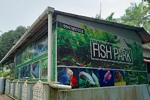FISH PARK - Aquarium Shop Kunnamkulam, Gold Fish, Beta Fish, Guppy Fish, Fish Tank image