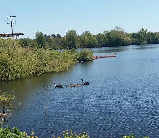 Park «Hollingsworth Park», reviews and photos, 348 Pond St, Braintree, MA 02184, USA