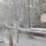 Photo n°5 de l'avis de Ruben.a fait le 04/10/2021 à 16:44 sur le  Parco Zoo Falconara Srl à Falconara Marittima