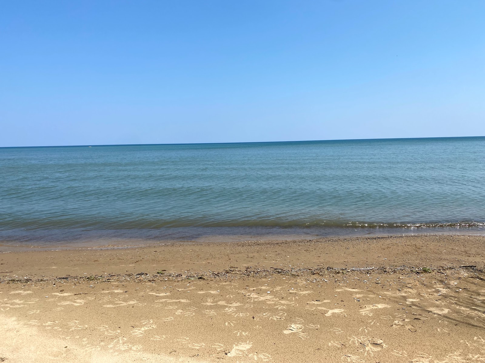 White Rock Roadside Beach的照片 带有碧绿色纯水表面