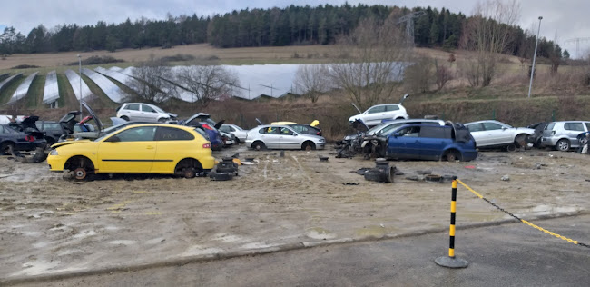 Rezensionen über Autoverwertung Schleicher in Sarnen - Andere