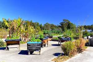 Blacktown Showground Community Garden image