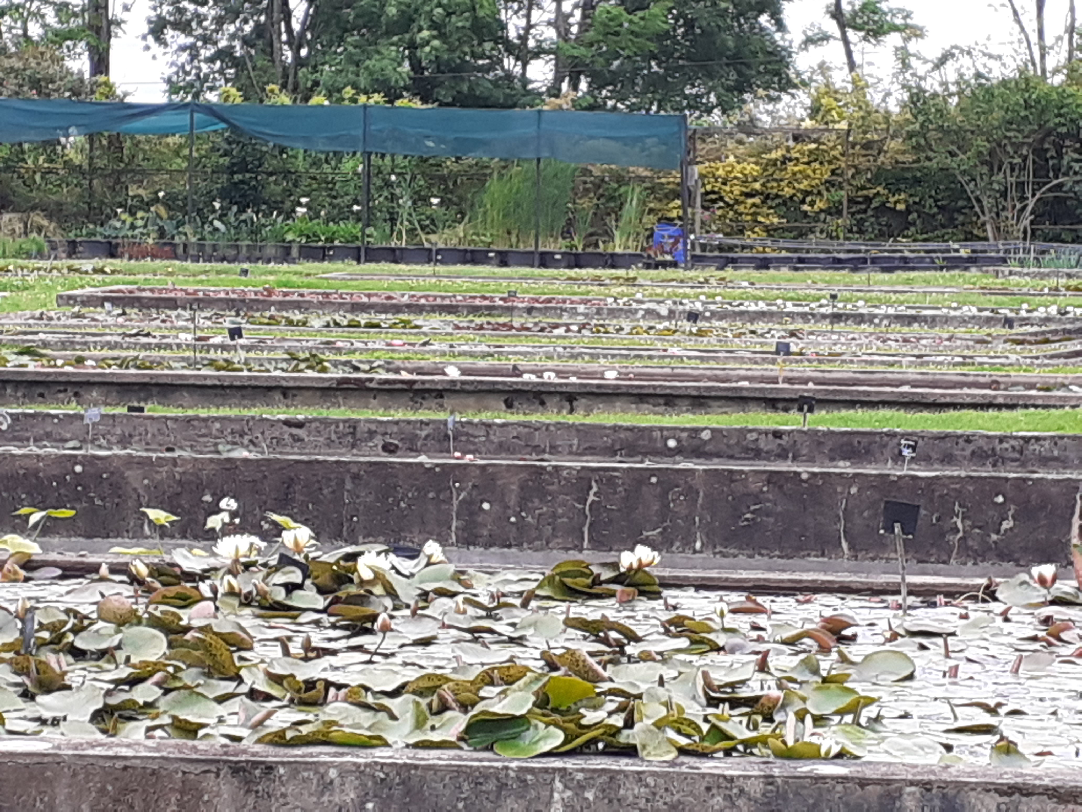 Photo n° 38 de l'avis de Kirenia.e fait le 22/05/2021 à 17:27