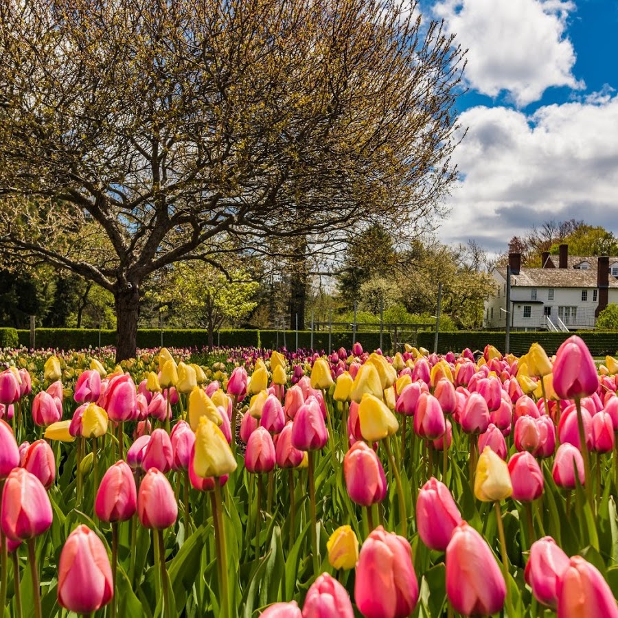 Stevens-Coolidge House & Gardens