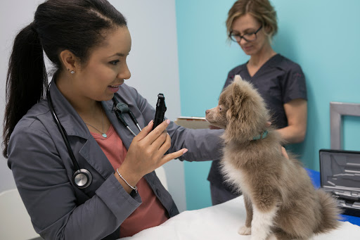 Nolan Hill Veterinary Hospital image