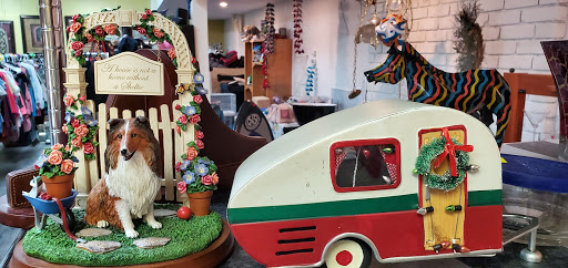 Thrift Store «Dog Junkies Thrift Store», reviews and photos, 4611 N Rancho Dr, Las Vegas, NV 89130, USA