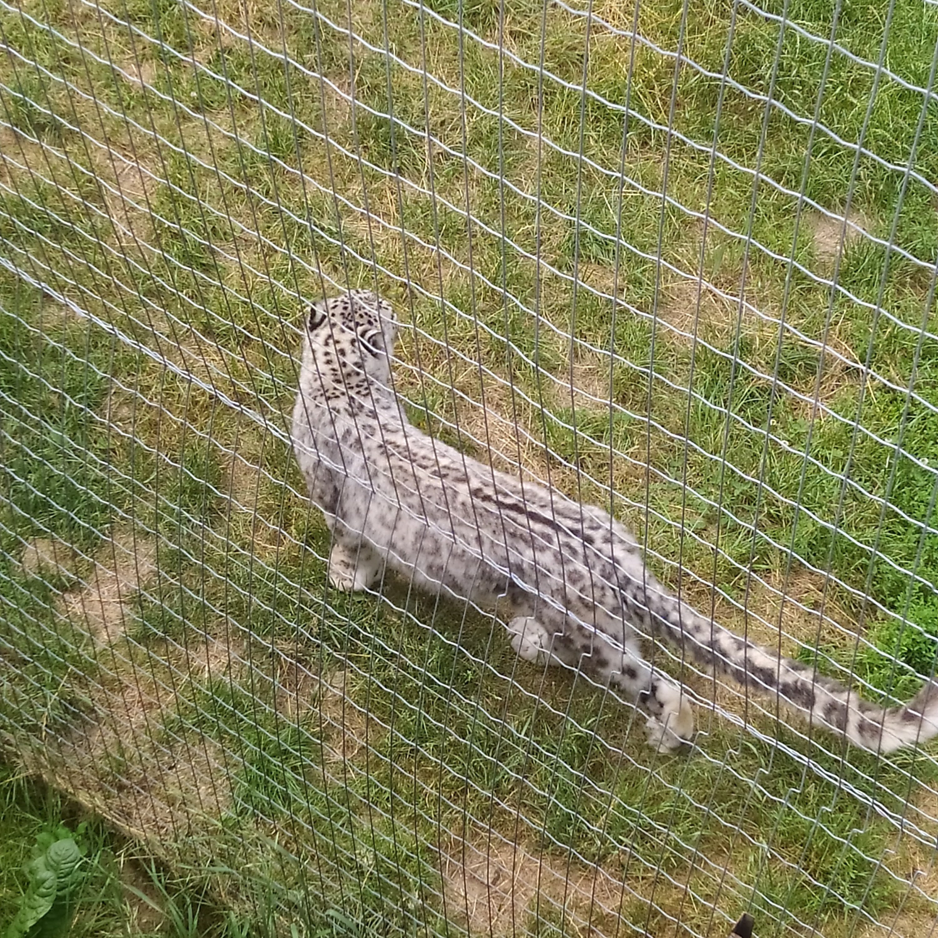 Photo n° 19 de l'avis de jojosification. fait le 13/07/2023 à 17:03