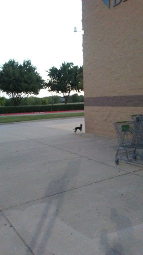 Supermarket «Walmart Neighborhood Market», reviews and photos, 735 W Sublett Rd, Arlington, TX 76017, USA