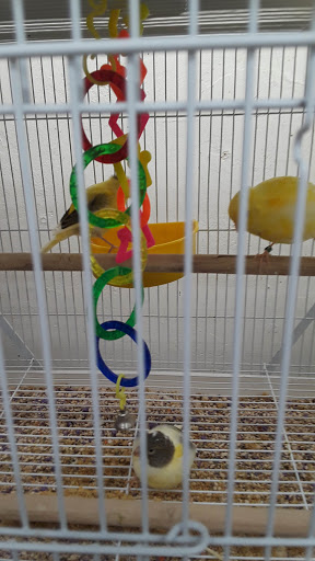 Pet Store «Fin-N-Feather», reviews and photos, 2931 F St, Eureka, CA 95501, USA