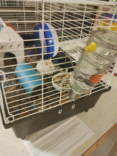 Pet Supply Store «Petco Animal Supplies», reviews and photos, 1619 SE Ensign Ln, Warrenton, OR 97146, USA