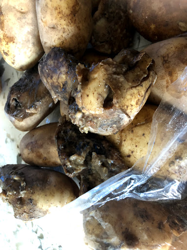 Grocery Store «Valentino Food Market», reviews and photos, 66-64 Fresh Pond Rd, Ridgewood, NY 11385, USA