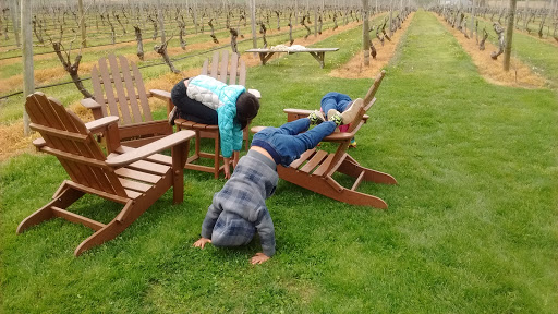 Winery «Palmer Vineyards», reviews and photos, 5120 Sound Ave, Riverhead, NY 11901, USA