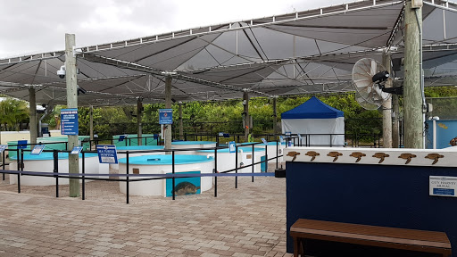 Animal Hospital «Loggerhead Marinelife Center», reviews and photos, 14200 U.S. Hwy 1, Juno Beach, FL 33408, USA