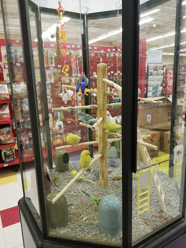 Pet Supply Store «Petco Animal Supplies», reviews and photos, 855 E Bidwell St, Folsom, CA 95630, USA