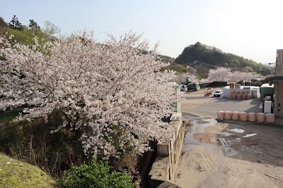 AICHIメーデル
