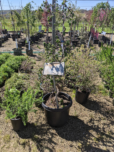 Garden Center «Quality Gardens», reviews and photos, 409 PA-228, Valencia, PA 16059, USA