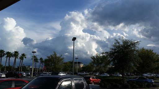 Bicycle Store «Road & Trail Bicycles», reviews and photos, 5113 US-98, Lakeland, FL 33812, USA