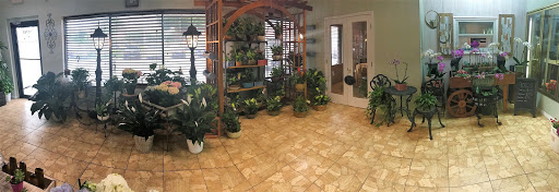 Florist «Carrollwood Florist», reviews and photos, 11745 N Dale Mabry Hwy, Tampa, FL 33618, USA