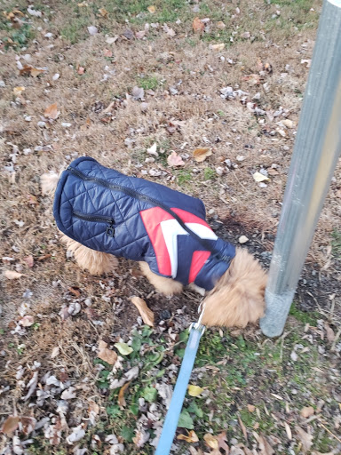 Pet Supply Store «Petco Animal Supplies», reviews and photos, 10055 Wellington Rd, Manassas, VA 20110, USA