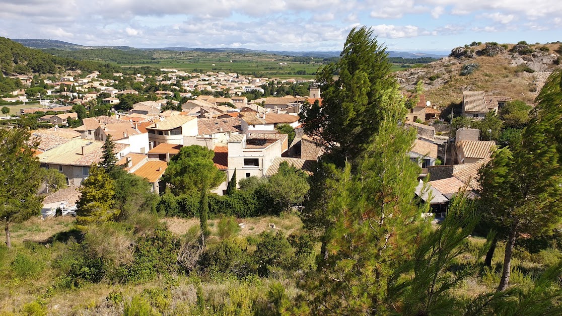 El Mirador - Rooftop à Roquefort-des-Corbières (Aude 11)