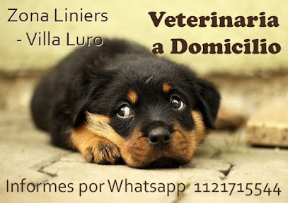 Veterinaria a Domicilio en Liniers Villa Luro y Mataderos Dra. Viviana Guala