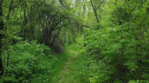 Nature Preserve «Penny Road Pond», reviews and photos, Penny Rd, Barrington, IL 60010, USA